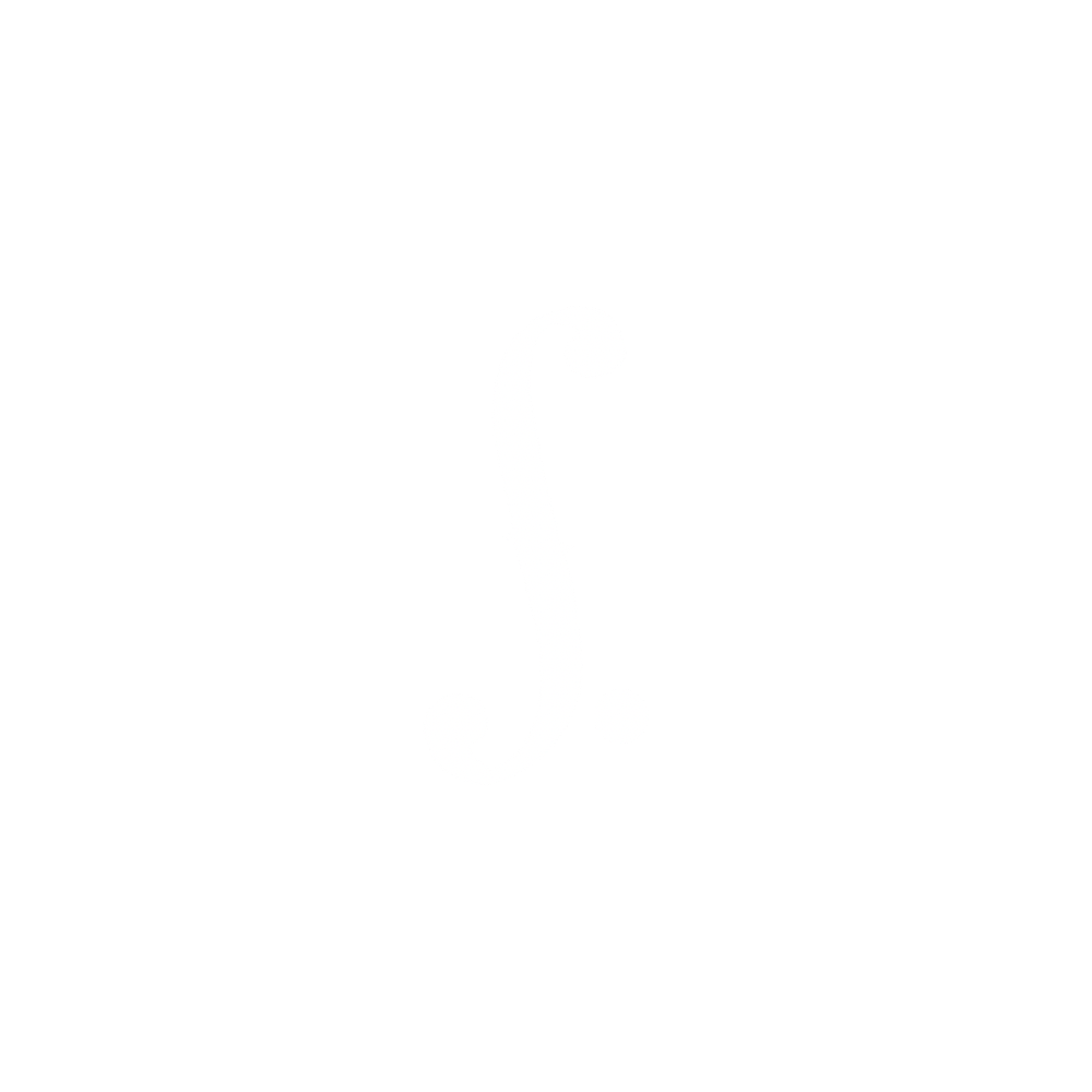 Logo Soarinho